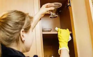 Move In / Move Out Cleaning